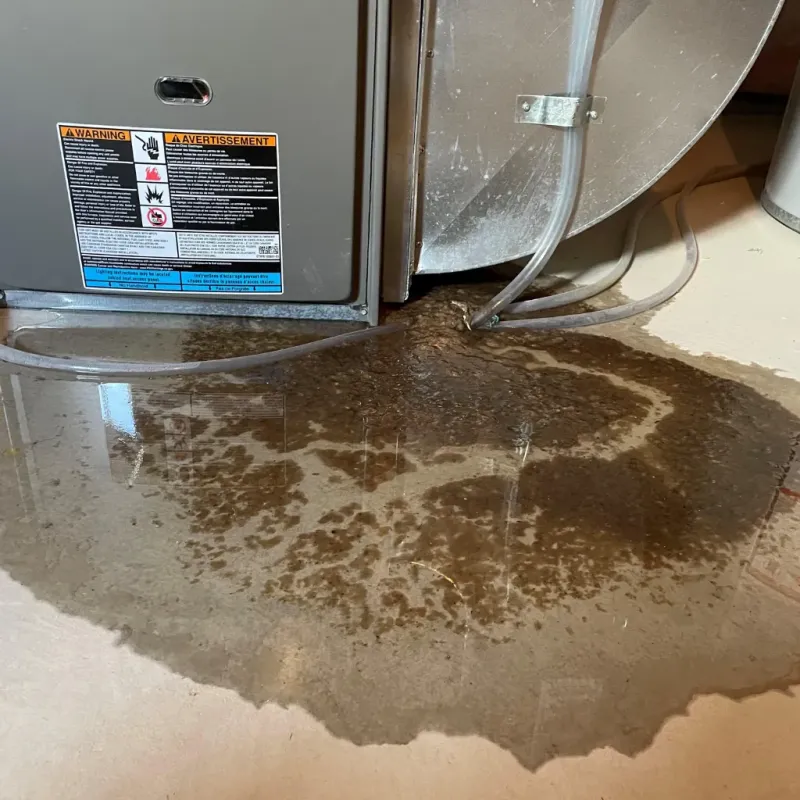 Appliance Leak Cleanup in La Vernia, TX