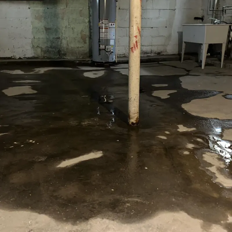 Emergency Water Extraction And Removal in La Vernia, TX